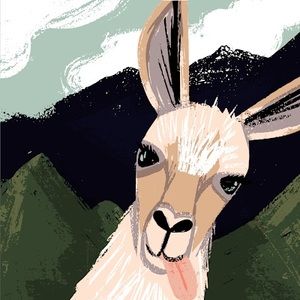 Meet your Posher, Philippa